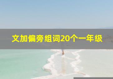 文加偏旁组词20个一年级