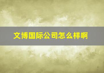 文博国际公司怎么样啊