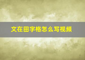 文在田字格怎么写视频