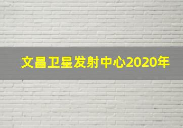 文昌卫星发射中心2020年