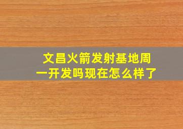 文昌火箭发射基地周一开发吗现在怎么样了