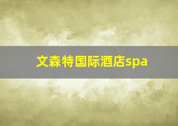 文森特国际酒店spa