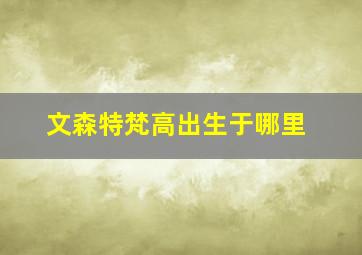 文森特梵高出生于哪里