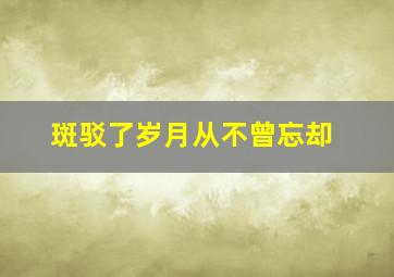 斑驳了岁月从不曾忘却