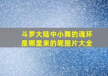 斗罗大陆中小舞的魂环是哪里来的呢图片大全