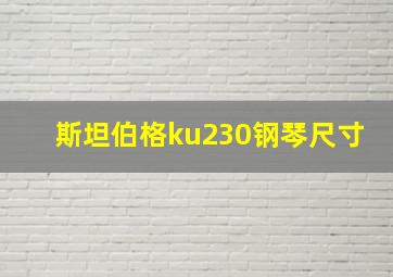 斯坦伯格ku230钢琴尺寸