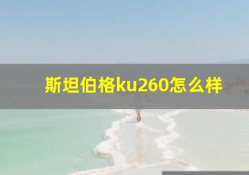 斯坦伯格ku260怎么样