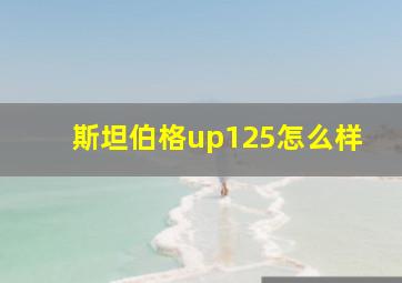 斯坦伯格up125怎么样