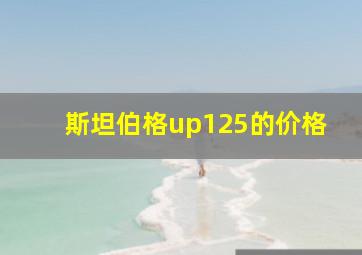 斯坦伯格up125的价格