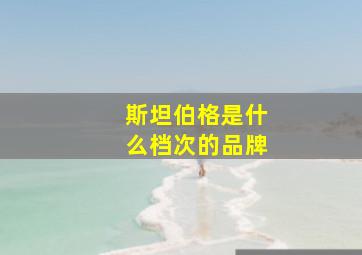 斯坦伯格是什么档次的品牌