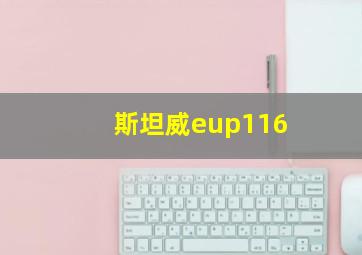 斯坦威eup116