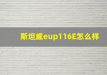 斯坦威eup116E怎么样