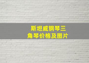 斯坦威钢琴三角琴价格及图片