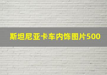 斯坦尼亚卡车内饰图片500