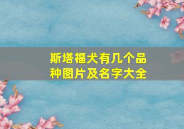 斯塔福犬有几个品种图片及名字大全