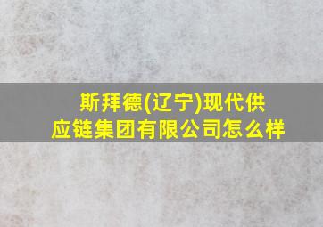 斯拜德(辽宁)现代供应链集团有限公司怎么样