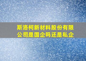 斯洛柯新材料股份有限公司是国企吗还是私企