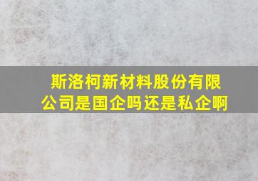 斯洛柯新材料股份有限公司是国企吗还是私企啊