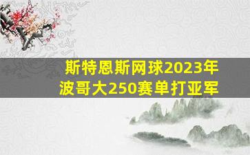 斯特恩斯网球2023年波哥大250赛单打亚军