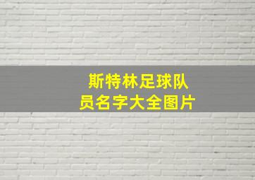 斯特林足球队员名字大全图片