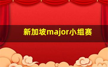 新加坡major小组赛