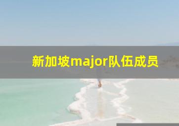 新加坡major队伍成员