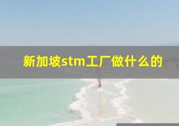 新加坡stm工厂做什么的