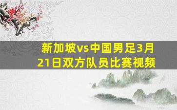 新加坡vs中国男足3月21日双方队员比赛视频