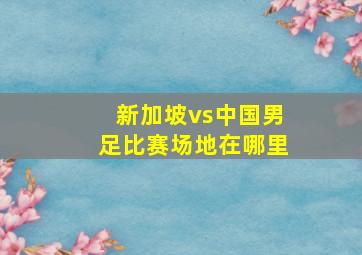 新加坡vs中国男足比赛场地在哪里