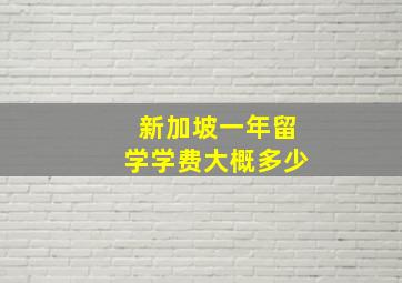 新加坡一年留学学费大概多少