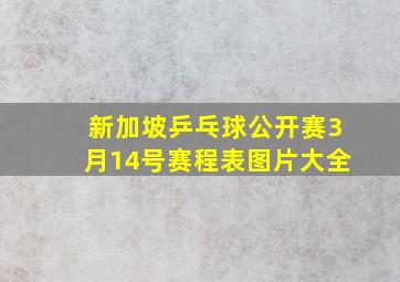 新加坡乒乓球公开赛3月14号赛程表图片大全