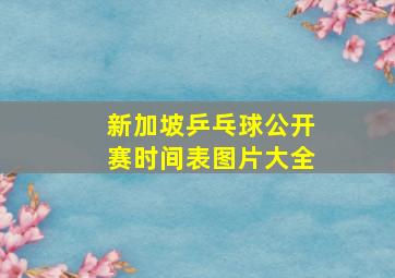 新加坡乒乓球公开赛时间表图片大全