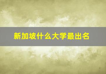 新加坡什么大学最出名