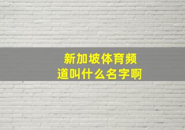 新加坡体育频道叫什么名字啊