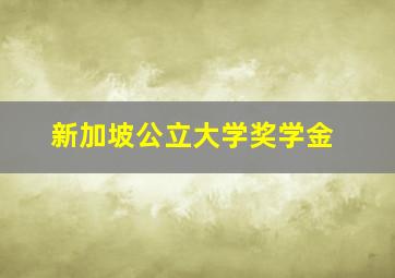 新加坡公立大学奖学金