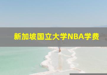 新加坡国立大学NBA学费