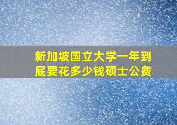 新加坡国立大学一年到底要花多少钱硕士公费