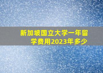 新加坡国立大学一年留学费用2023年多少