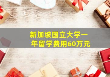 新加坡国立大学一年留学费用60万元