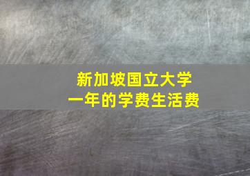 新加坡国立大学一年的学费生活费