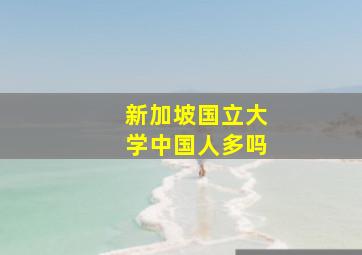 新加坡国立大学中国人多吗