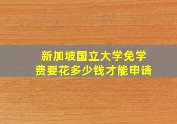 新加坡国立大学免学费要花多少钱才能申请