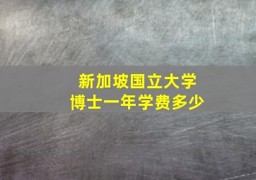 新加坡国立大学博士一年学费多少