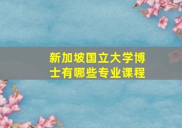 新加坡国立大学博士有哪些专业课程