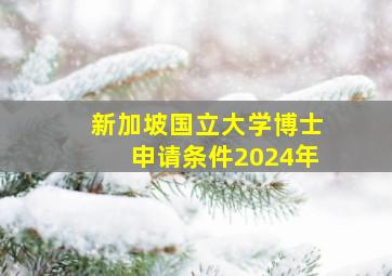 新加坡国立大学博士申请条件2024年