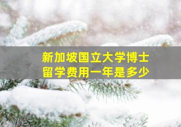 新加坡国立大学博士留学费用一年是多少