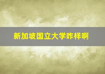 新加坡国立大学咋样啊