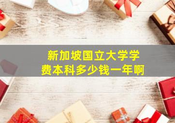 新加坡国立大学学费本科多少钱一年啊