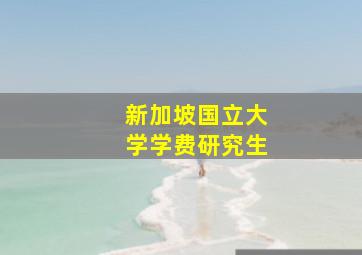 新加坡国立大学学费研究生