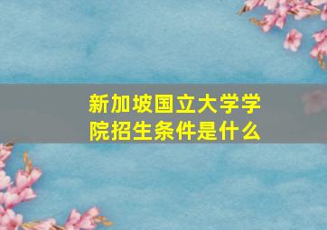 新加坡国立大学学院招生条件是什么